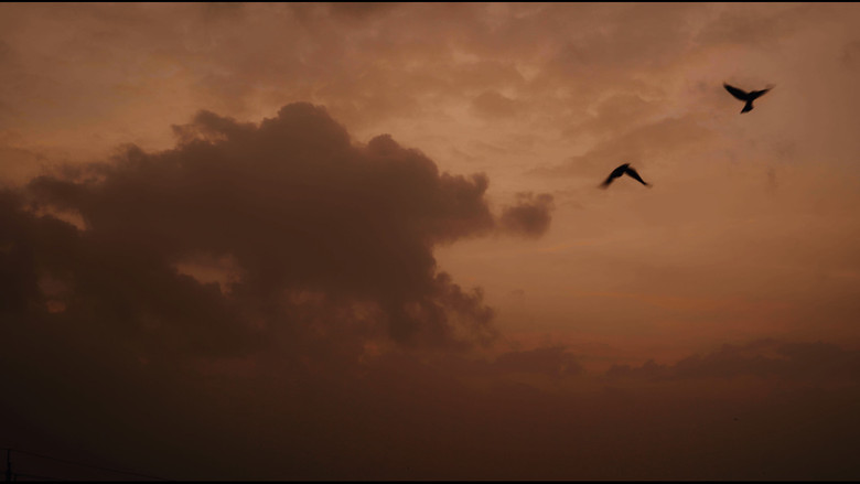 Lighthouse still 1