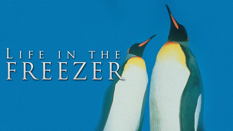 Life in the Freezer still 1