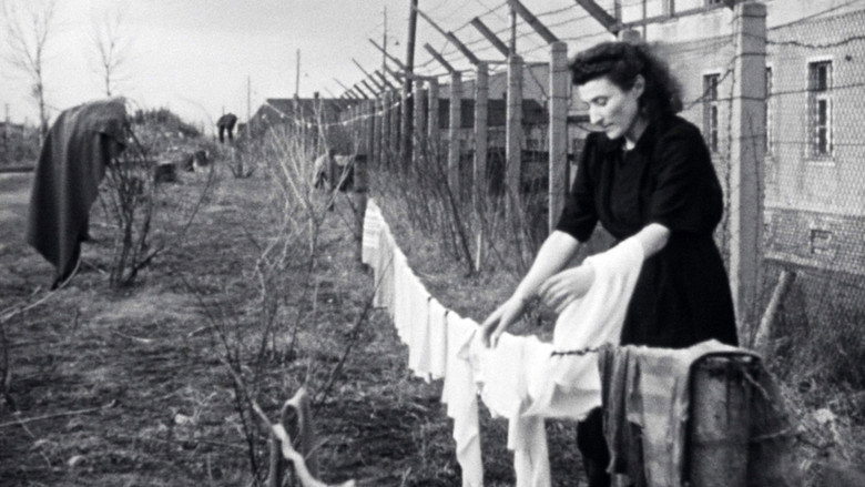 Les survivants, l'impossible départ après la Shoah still 2