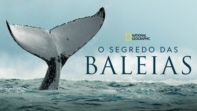 Secrets of the Whales still 5