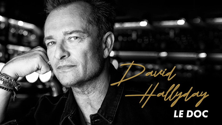 David Hallyday still 2