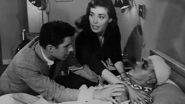 The Wasp Woman still 4