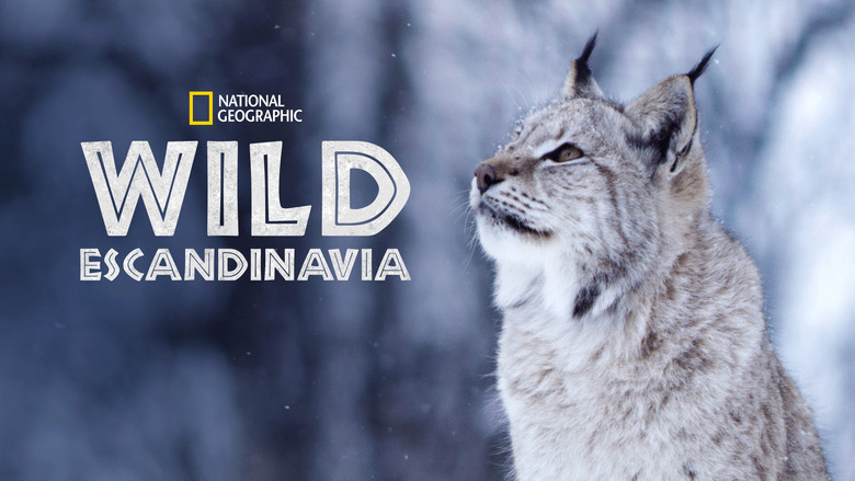 Wild Nordic still 3