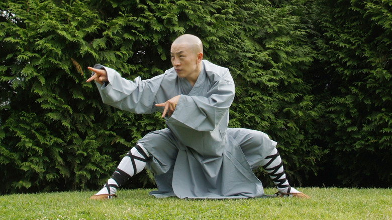 Kung Fu Quest still 1