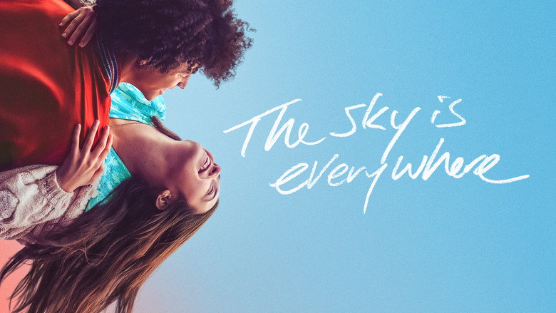 The Sky Is Everywhere still 7