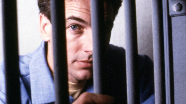 The Deliberate Stranger still 5