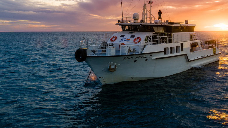 Shipwreck Hunters Australia still 3
