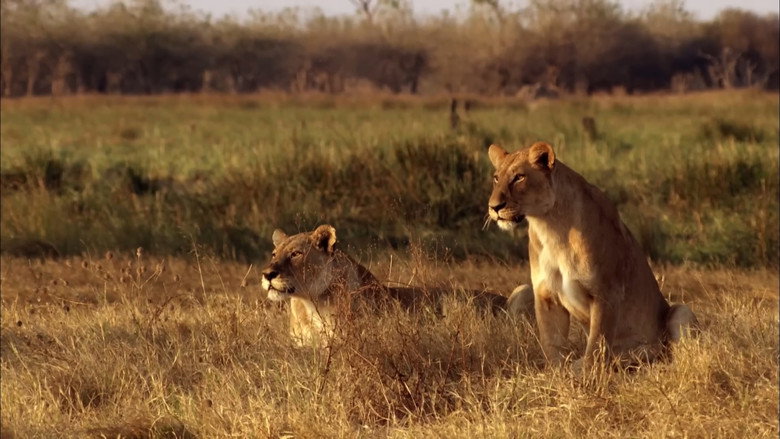 Africa's Predator Zones still 1