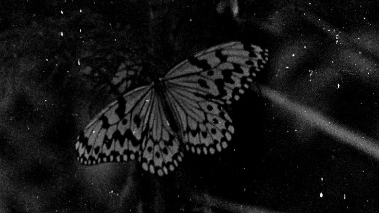 Night Awake still 2