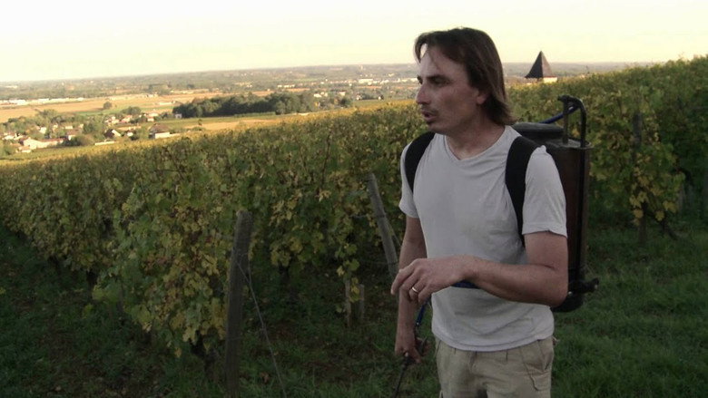 La Clef des Terroirs still 1