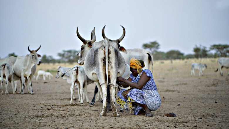 The Milk System still 1