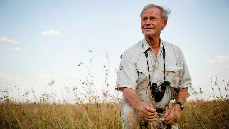 The Serengeti Rules still 5