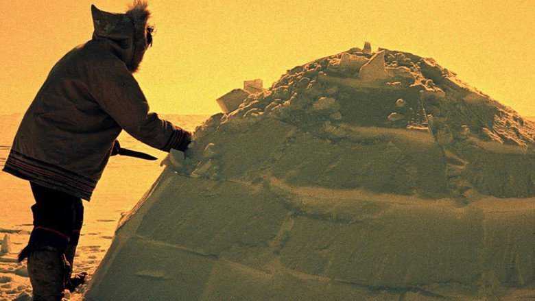 How to Build an Igloo still 2