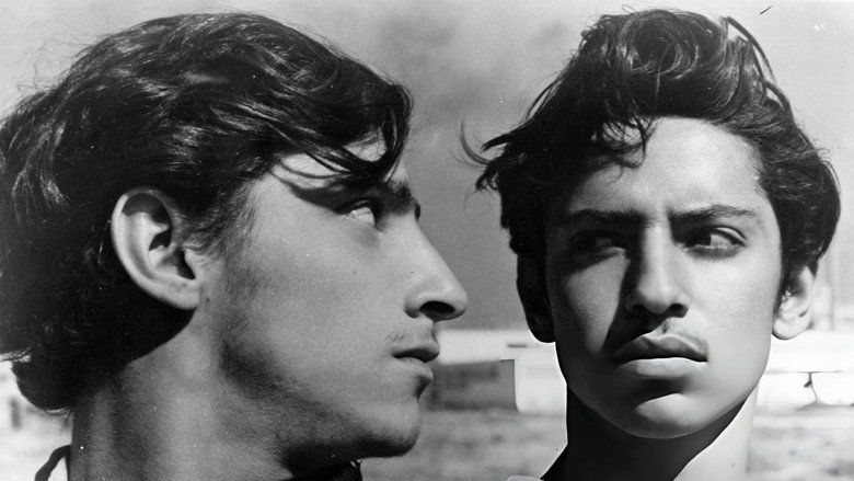 The Young and the Damned still 2