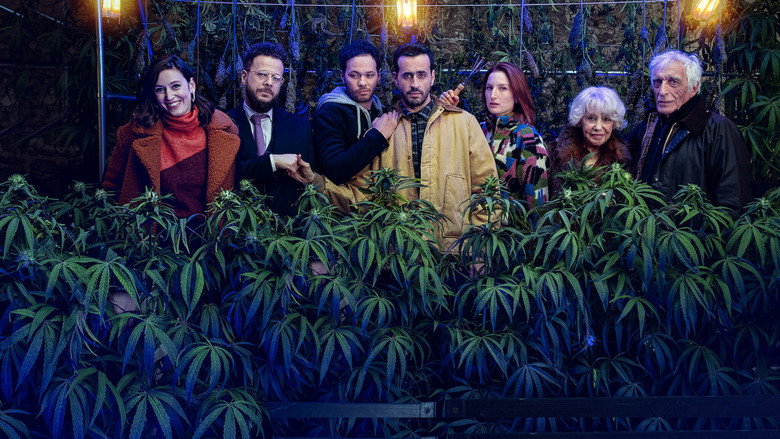 Family Business still 1