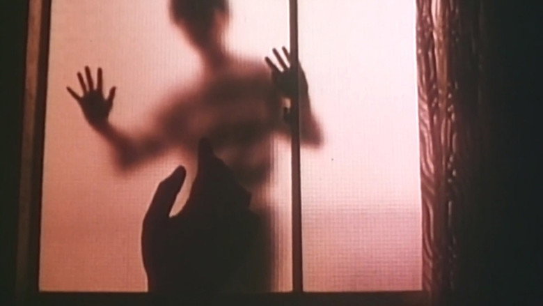 Guiding Star still 1