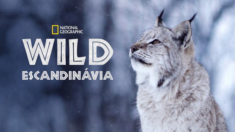 Wild Nordic still 7