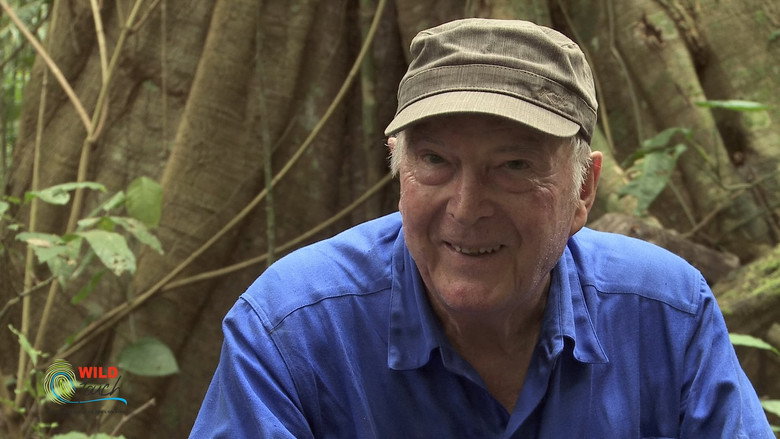 Botanist Francis Hallé Explains... still 1