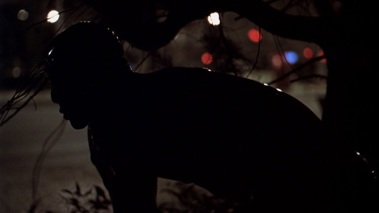 O Fantasma still 7