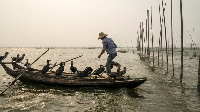 Along the Banks of the Yangtze still 2