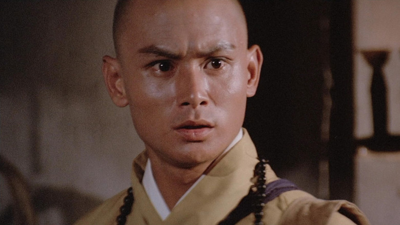 The 36th Chamber of Shaolin still 6