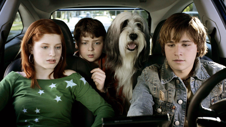 The Shaggy Dog still 6
