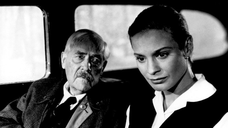 Wild Strawberries still 7