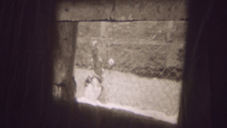 Echoes still 3