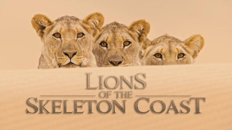 Lions of the Skeleton Coast still 1