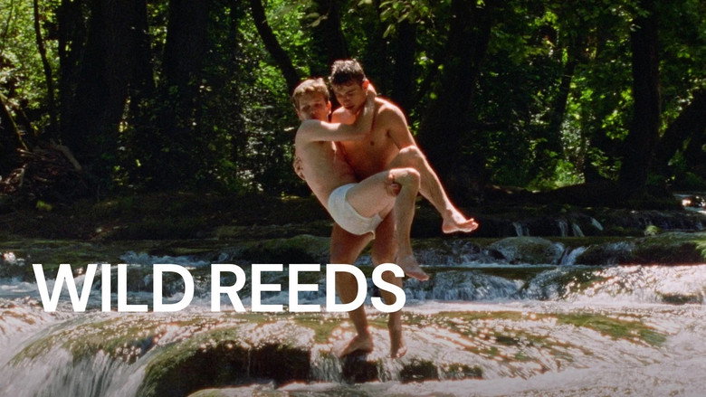 Wild Reeds still 6