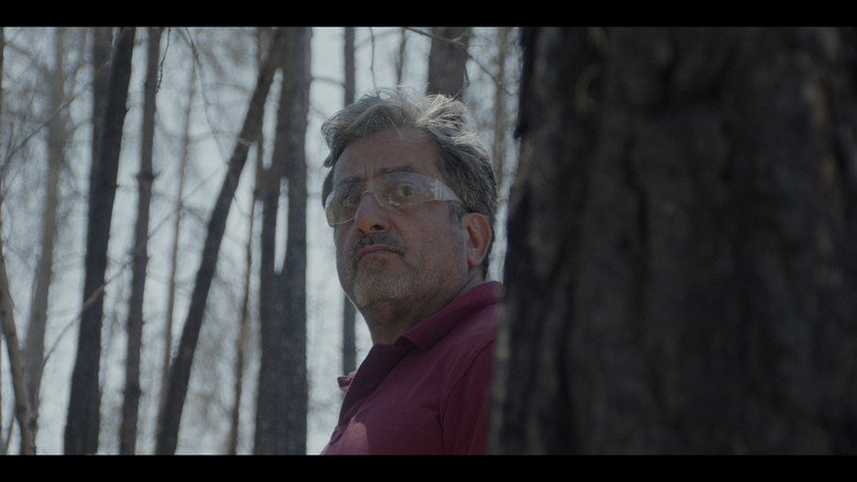 Pines still 5