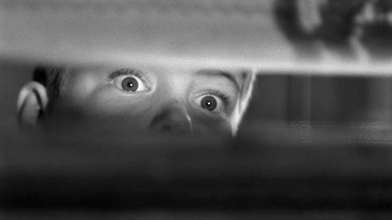 The Window still 3
