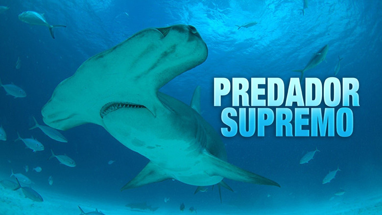 Mega Hammerhead: Ultimate Predator still 2