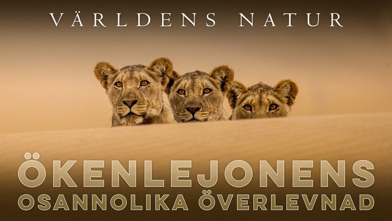 Lions of the Skeleton Coast still 4