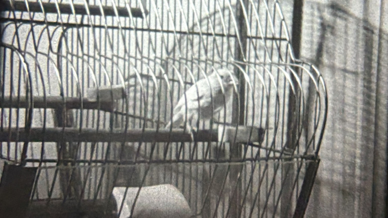 Nell and Fred still 1