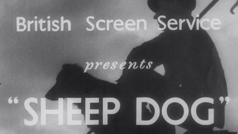 Sheep Dog still 1