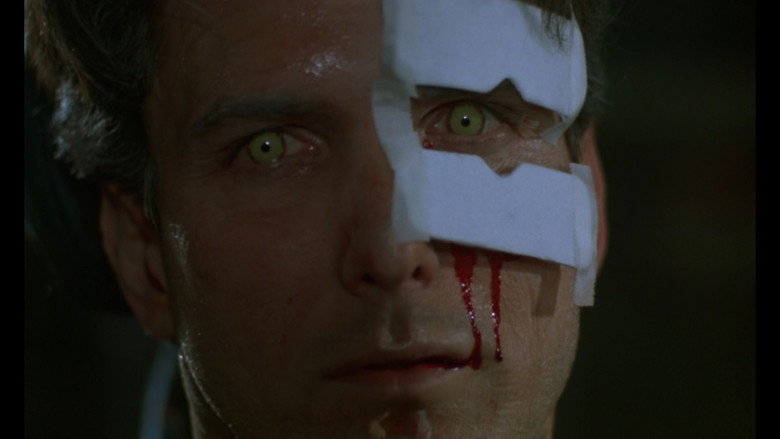 Metamorphosis still 1