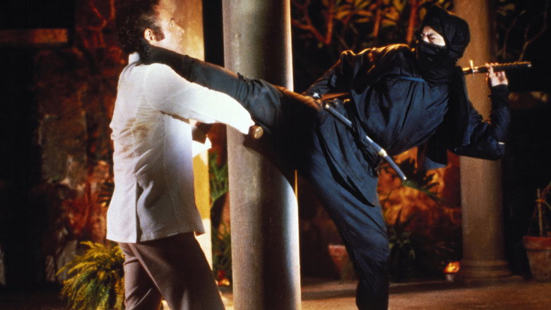 Enter the Ninja still 7