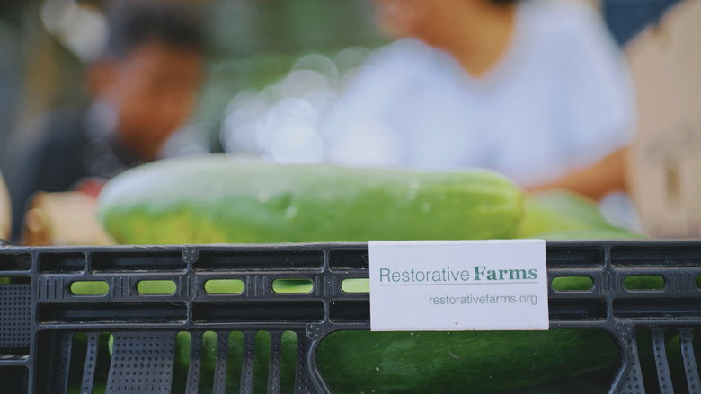 Grow a Better Dallas still 3