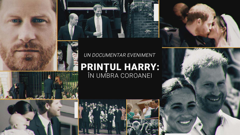 Harry: The Interview still 6