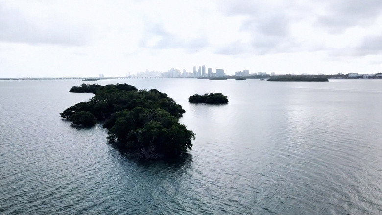 Remembering Surrounded Islands still 5