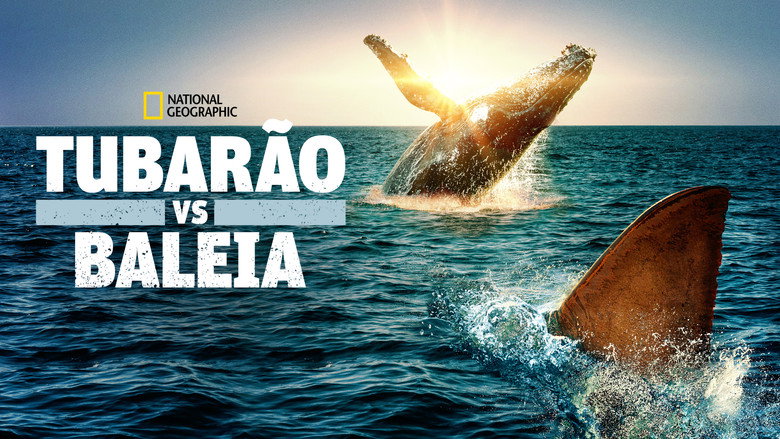 Shark Vs. Whale still 7