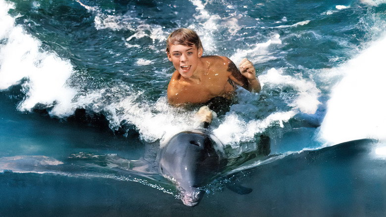 Flipper still 1