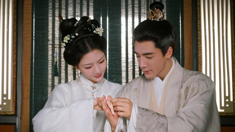 A Splendid Match still 7