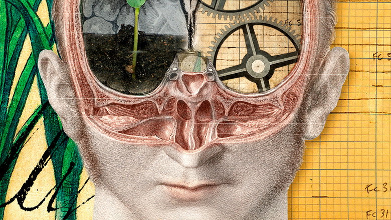 The Divided Brain still 1