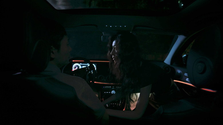 Cicada still 1
