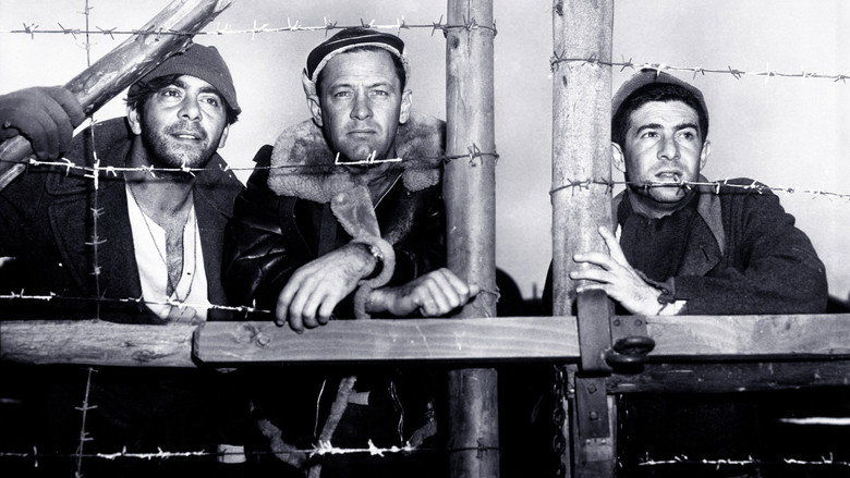 Stalag 17 still 7