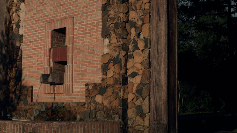 Silêncio das Asas still 7