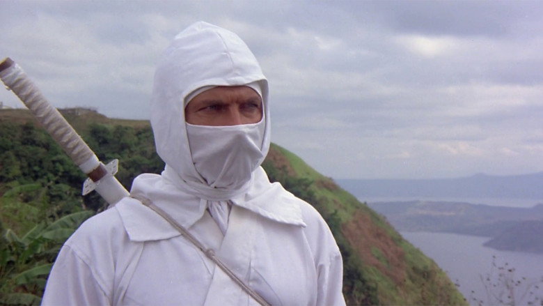 Enter the Ninja still 5