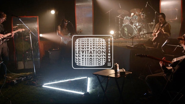 Post Animal - Levitation Sessions still 2
